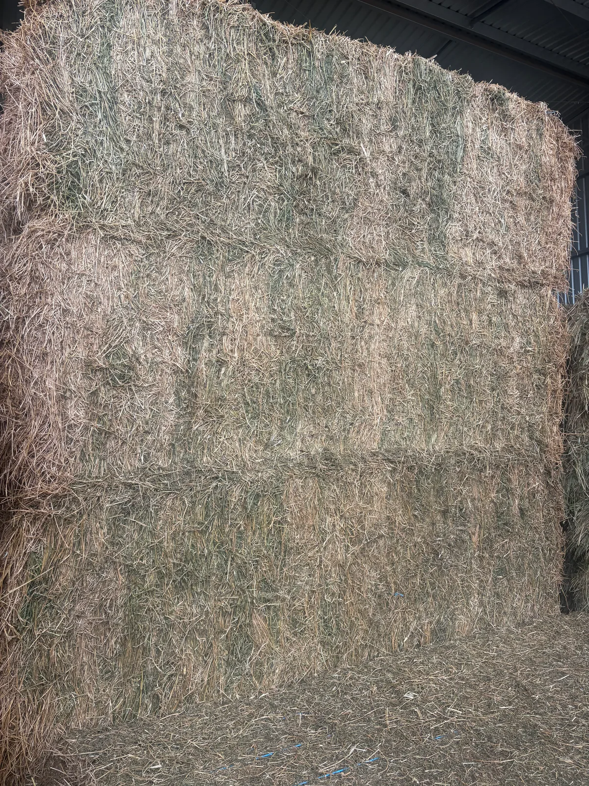 Lucerne, Farm Direct