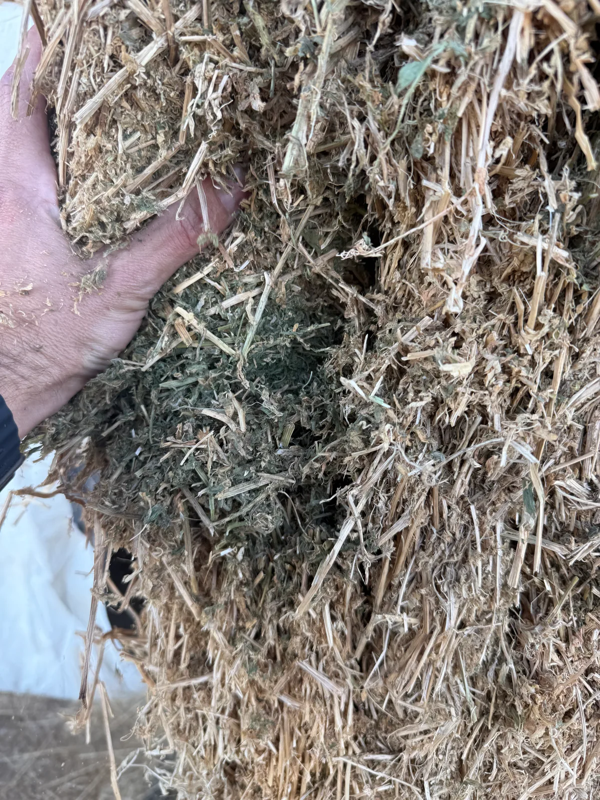 Vetch Hay, Farm Direct