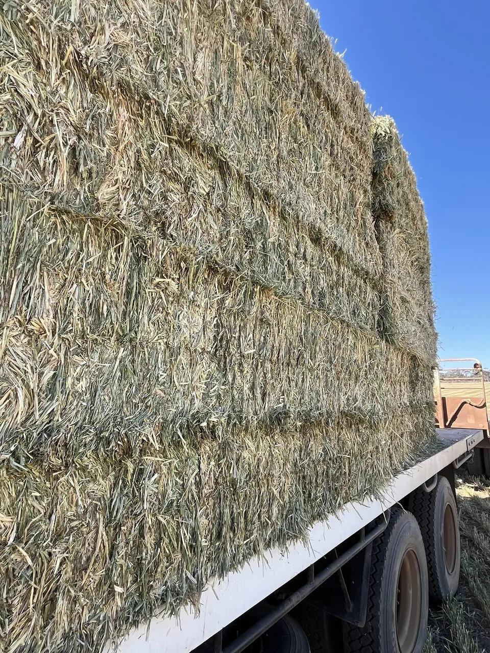 Big square bales stacked tight on the truck bed against a clear sky