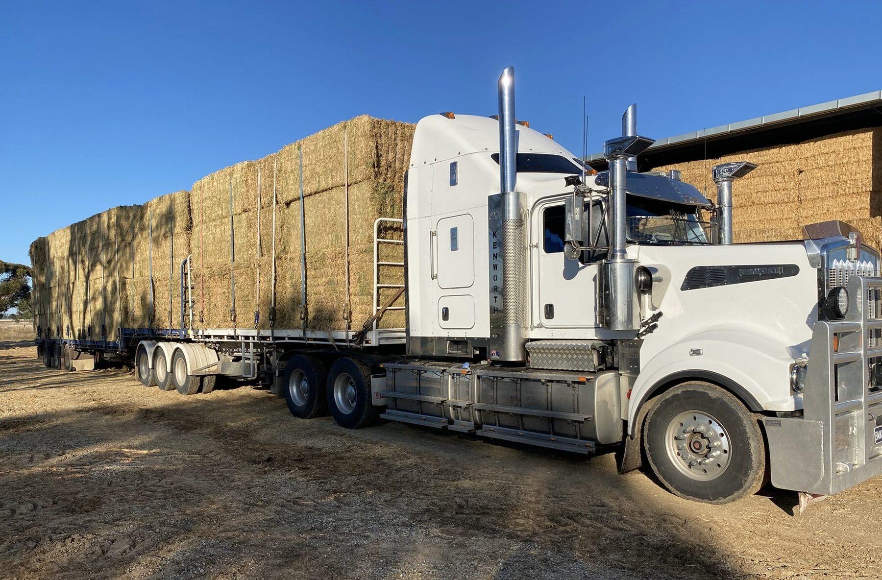 A loaded truck and trailer parked at the shed in golden afternoon light